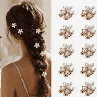 1704 10 PCS FANCY HAIR CLIP